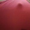 foto do perfil nete